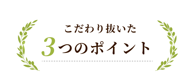 咲いたまハンバーグ こだわり抜いた3つのポイント